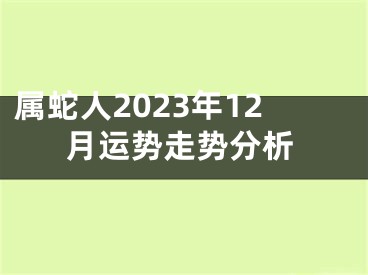 属蛇人2023年12月运势走势分析