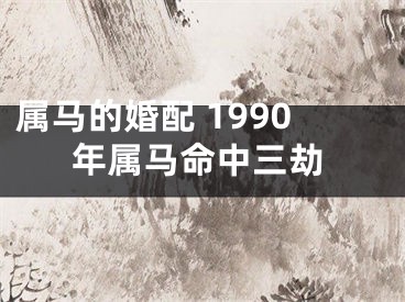 属马的婚配 1990年属马命中三劫