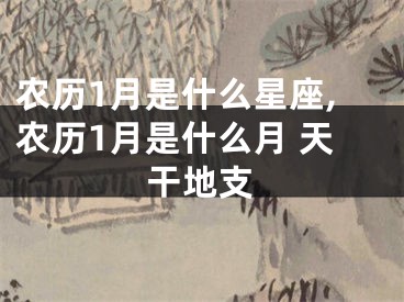 农历1月是什么星座,农历1月是什么月 天干地支