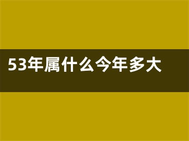 53年属什么今年多大