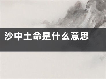 沙中土命是什么意思　