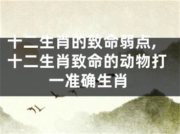 十二生肖的致命弱点,十二生肖致命的动物打一准确生肖