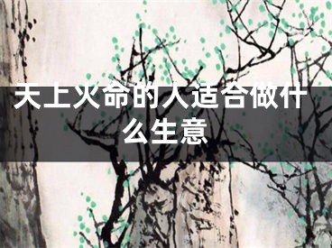 天上火命的人适合做什么生意
