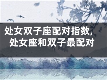 处女双子座配对指数,处女座和双子最配对