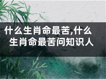 什么生肖命最苦,什么生肖命最苦问知识人
