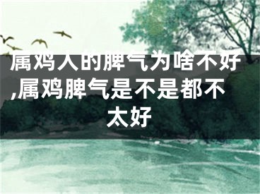 属鸡人的脾气为啥不好,属鸡脾气是不是都不太好