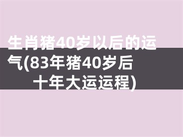 生肖猪40岁以后的运气(83年猪40岁后十年大运运程)