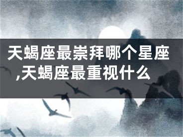 天蝎座最崇拜哪个星座,天蝎座最重视什么