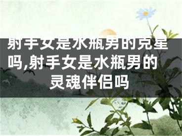 射手女是水瓶男的克星吗,射手女是水瓶男的灵魂伴侣吗