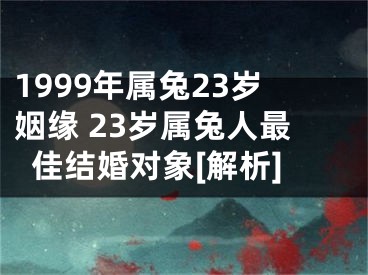 1999年属兔23岁姻缘 23岁属兔人最佳结婚对象[解析]