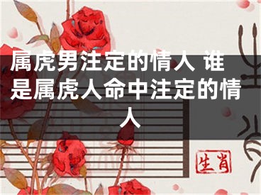属虎男注定的情人 谁是属虎人命中注定的情人