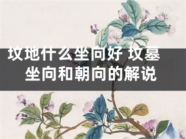 坟地什么坐向好 坟墓坐向和朝向的解说