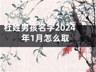 杜姓男孩名字2024年1月怎么取