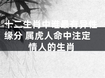 十二生肖中谁最有异性缘分 属虎人命中注定情人的生肖