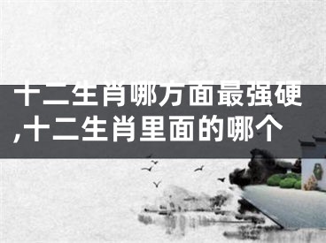十二生肖哪方面最强硬,十二生肖里面的哪个