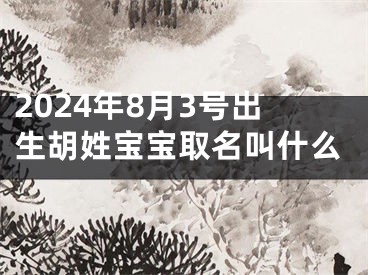 2024年8月3号出生胡姓宝宝取名叫什么