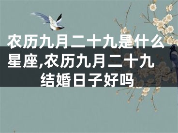 农历九月二十九是什么星座,农历九月二十九结婚日子好吗