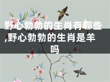 野心勃勃的生肖有哪些,野心勃勃的生肖是羊吗