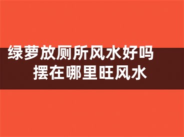 绿萝放厕所风水好吗 摆在哪里旺风水