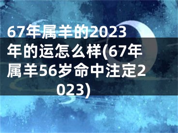 67年属羊的2023年的运怎么样(67年属羊56岁命中注定2023)