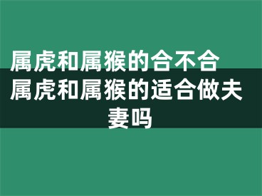 属虎和属猴的合不合 属虎和属猴的适合做夫妻吗