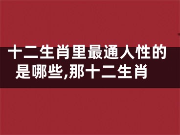 十二生肖里最通人性的是哪些,那十二生肖