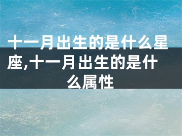 十一月出生的是什么星座,十一月出生的是什么属性