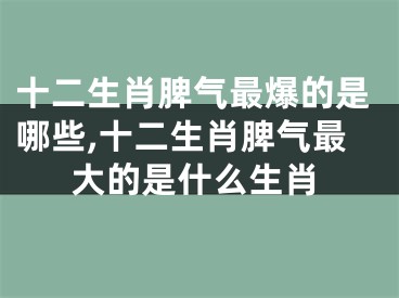 十二生肖脾气最爆的是哪些,十二生肖脾气最大的是什么生肖