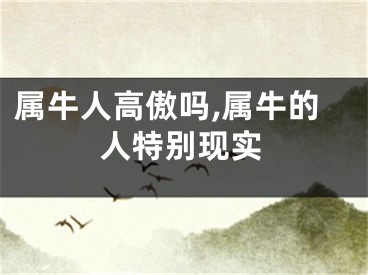 属牛人高傲吗,属牛的人特别现实