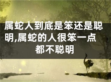 属蛇人到底是笨还是聪明,属蛇的人很笨一点都不聪明