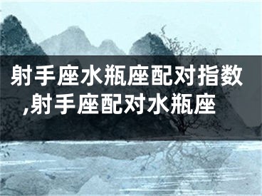射手座水瓶座配对指数,射手座配对水瓶座