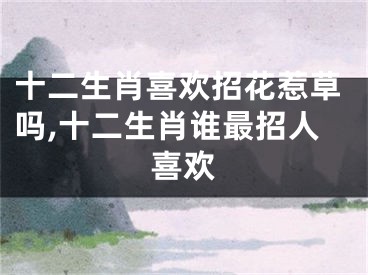 十二生肖喜欢招花惹草吗,十二生肖谁最招人喜欢