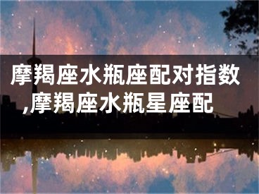 摩羯座水瓶座配对指数,摩羯座水瓶星座配