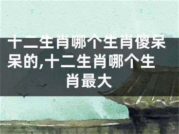 十二生肖哪个生肖傻呆呆的,十二生肖哪个生肖最大