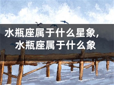 水瓶座属于什么星象,水瓶座属于什么象
