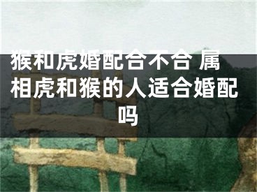 猴和虎婚配合不合 属相虎和猴的人适合婚配吗