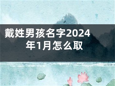 戴姓男孩名字2024年1月怎么取