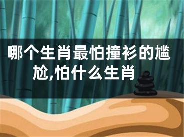 哪个生肖最怕撞衫的尴尬,怕什么生肖