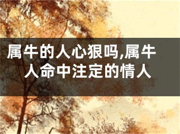 属牛的人心狠吗,属牛人命中注定的情人