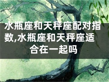 水瓶座和天秤座配对指数,水瓶座和天秤座适合在一起吗