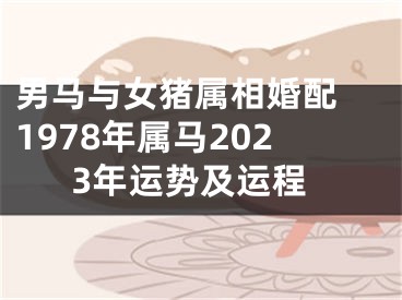 男马与女猪属相婚配 1978年属马2023年运势及运程