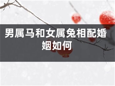 男属马和女属兔相配婚姻如何