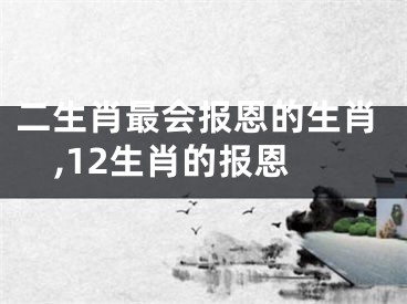 二生肖最会报恩的生肖,12生肖的报恩