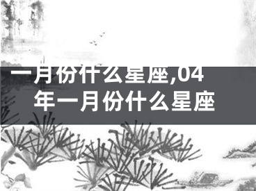 一月份什么星座,04年一月份什么星座