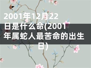 2001年12月22日是什么命(2001年属蛇人最苦命的出生日)
