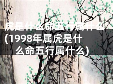 虎是什么命五行属什么(1998年属虎是什么命五行属什么)