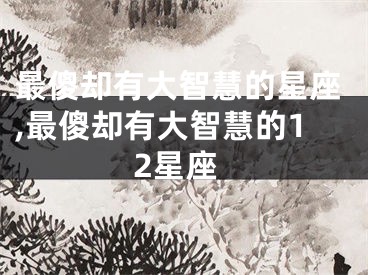 最傻却有大智慧的星座,最傻却有大智慧的12星座