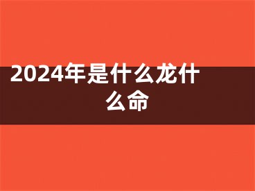 2024年是什么龙什么命