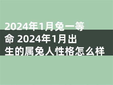 2024年1月兔一等命 2024年1月出生的属兔人性格怎么样