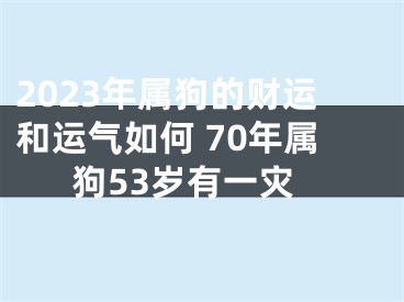 2023年属狗的财运和运气如何 70年属狗53岁有一灾